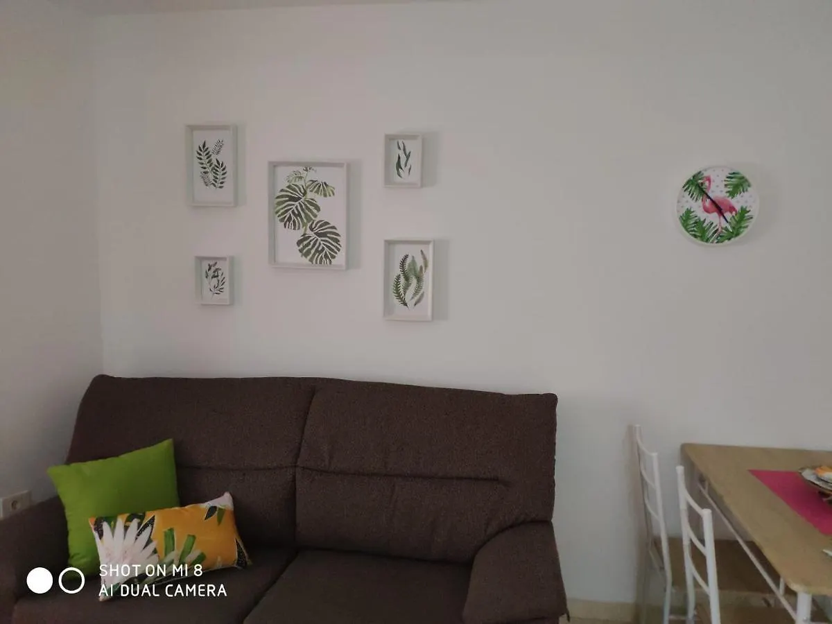 Apartamento Edificio SATI 1 A Santa Cruz de la Palma   Santa Cruz de la Palma (Isla de la Palma)